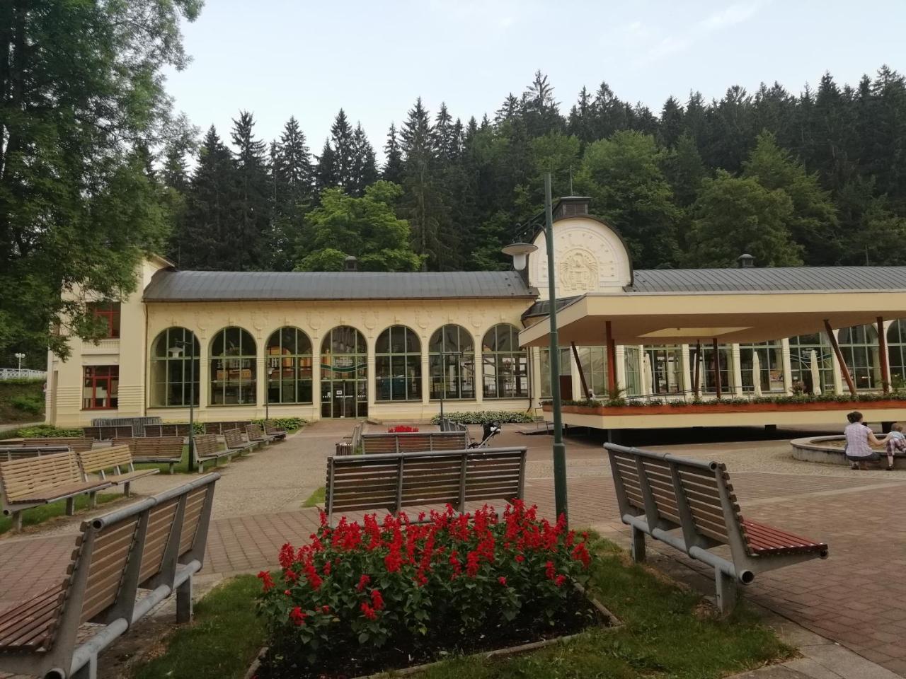 Apartman Jestrab 5 Янське Лазне Экстерьер фото